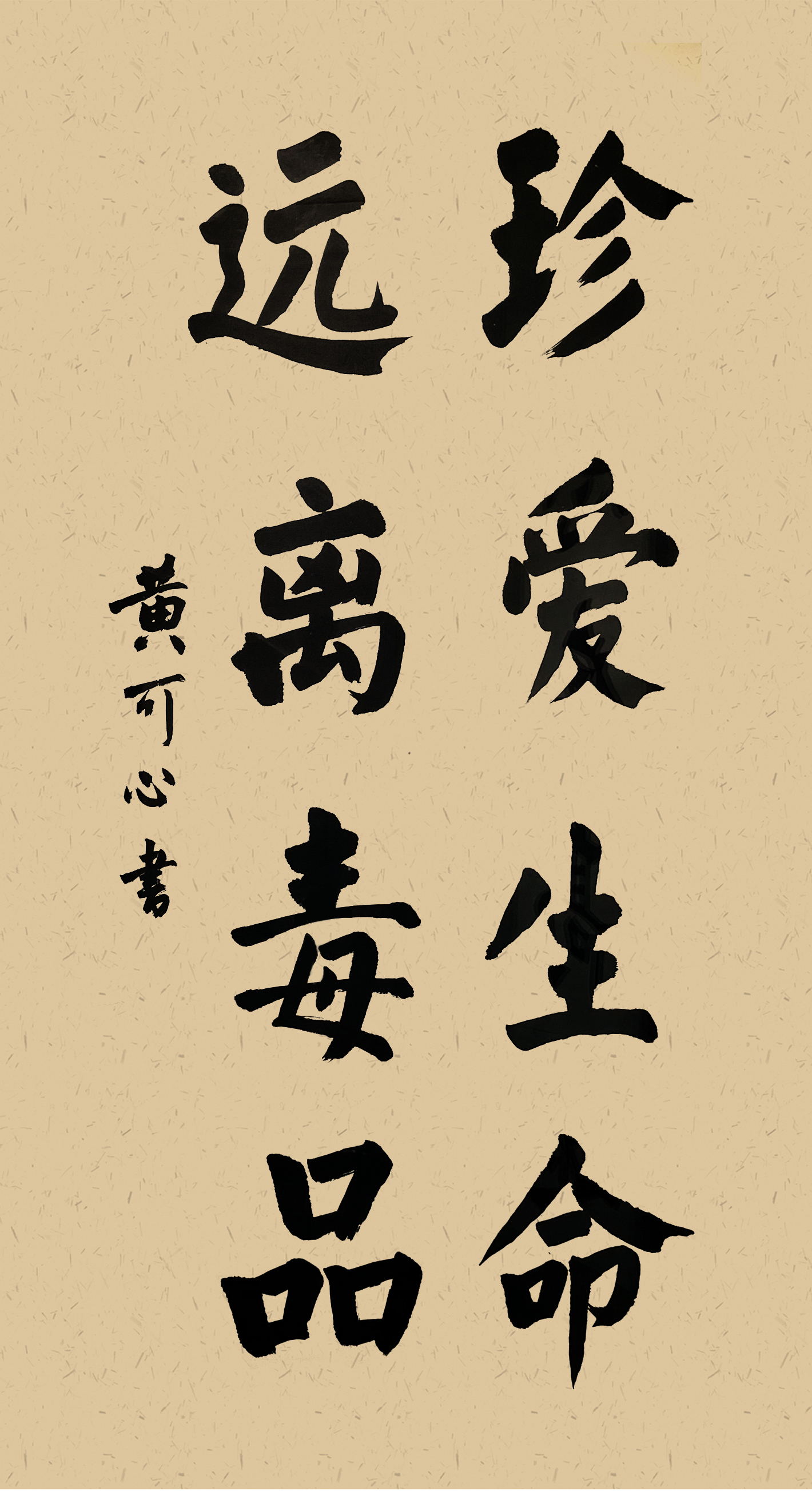 小学组 一等奖 横岗小学 黄可心_看图王.jpg